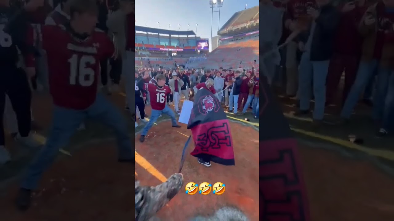 CAROLINA DELIVERS BELT TO ASS BEATING! Gamecocks Stun Clemson 17-14. Playoff Hopes Alive!  #Shorts