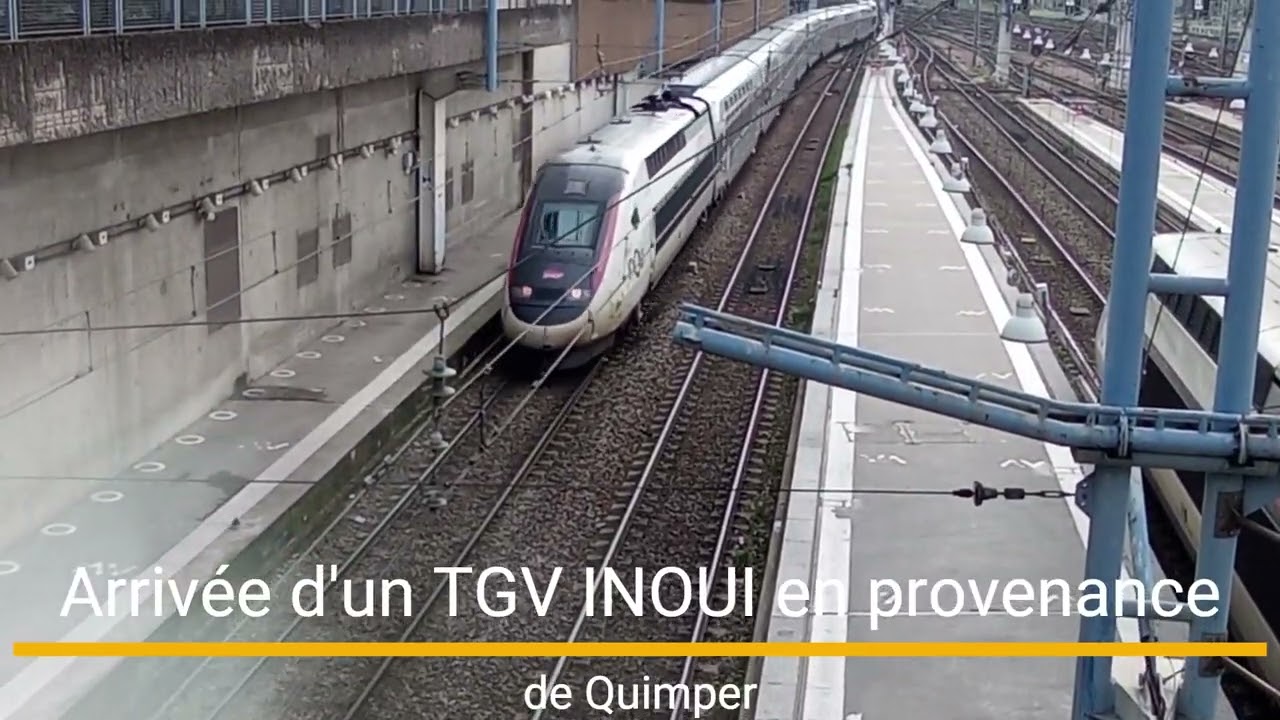 Compilation de TGV et TER en gare de Paris-Montparnasse Hall 1&2 (Part 2)