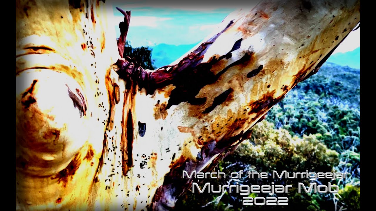 March of the Murrigeejar
