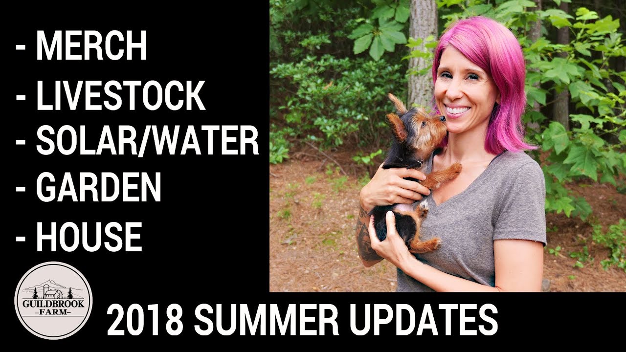 2018 Summer Off Grid Homestead Updates
