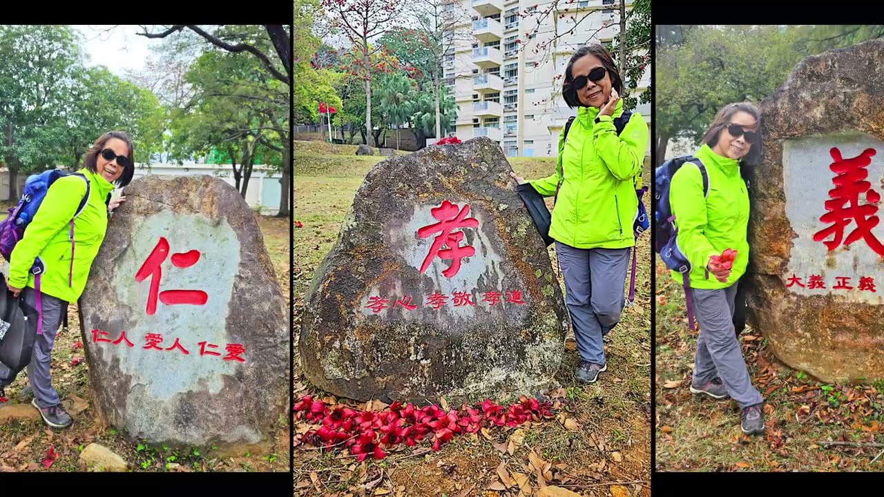 木棉花 禾雀花 雷公田 2026 03 11