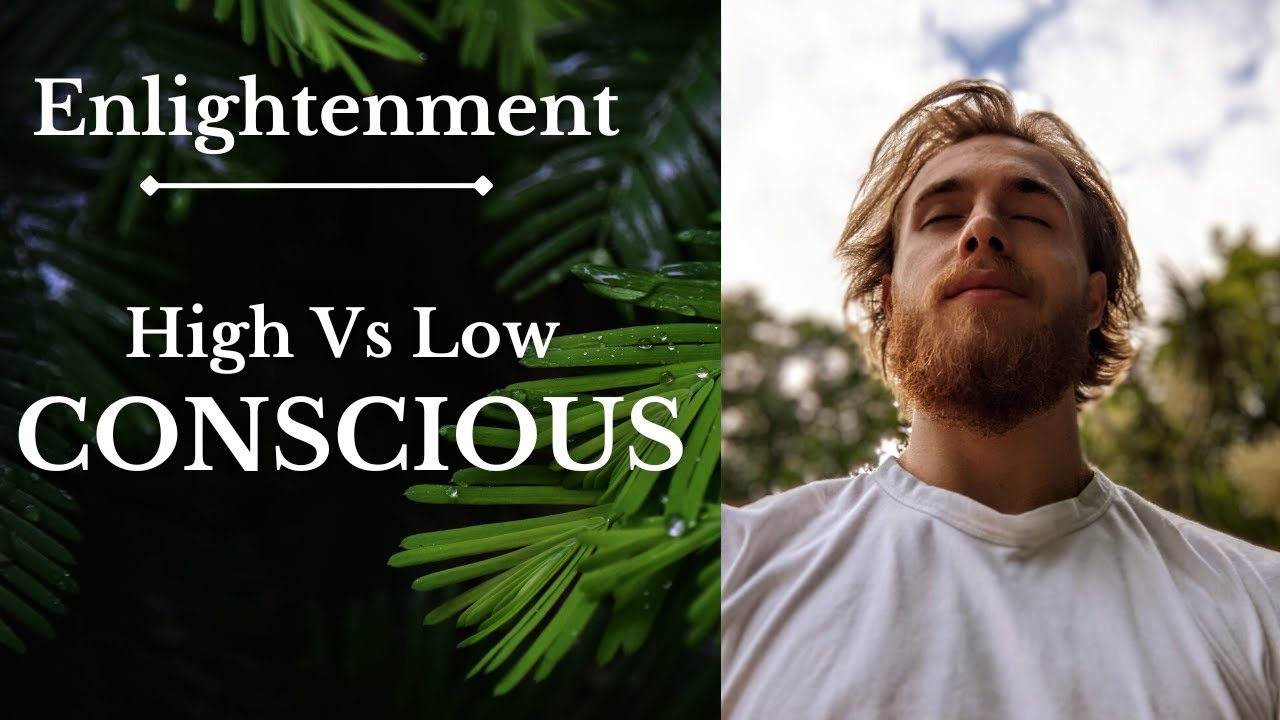 High Consciousness Vs Low Consciousness in People