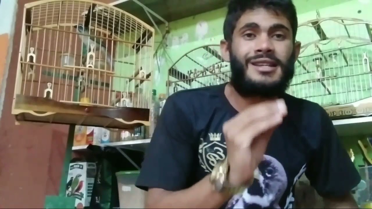 trinca ferro cantando baixo, entenda porque...
