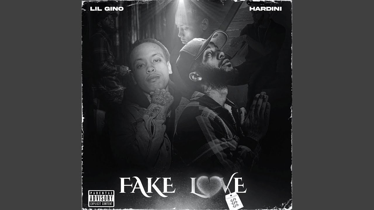 Fake Love (feat. Hardini)