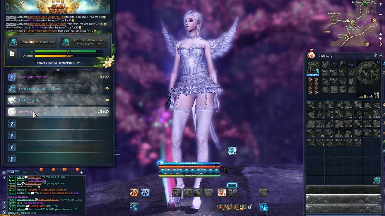 Blade and Soul | Tropical Treasure Trove 40x Key