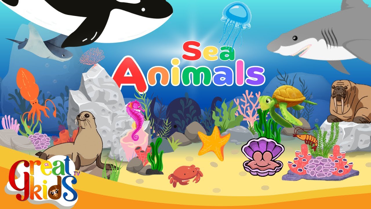 Underwater Creatures: Sea Animals for Kids!