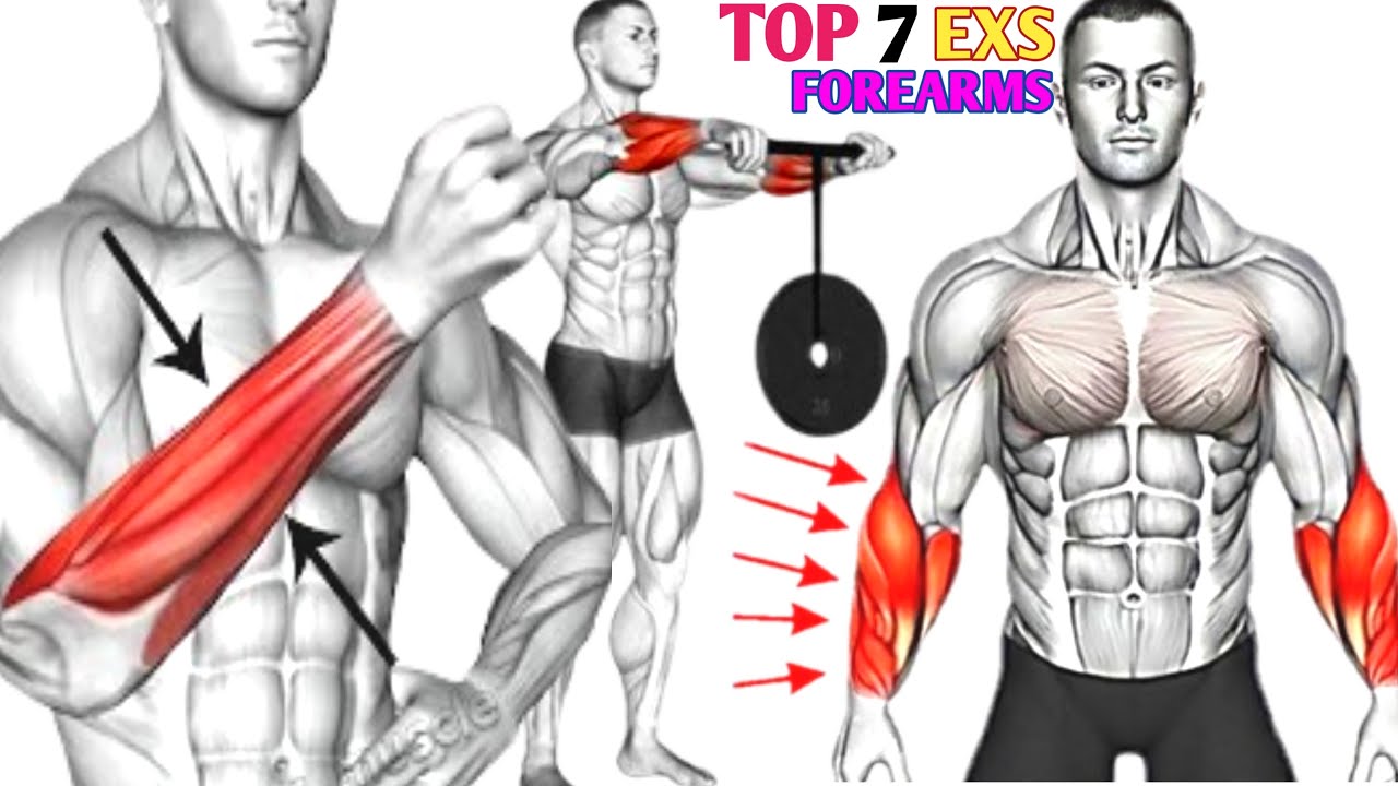 Top 7 Perfect Exercises FOREARMS Workout