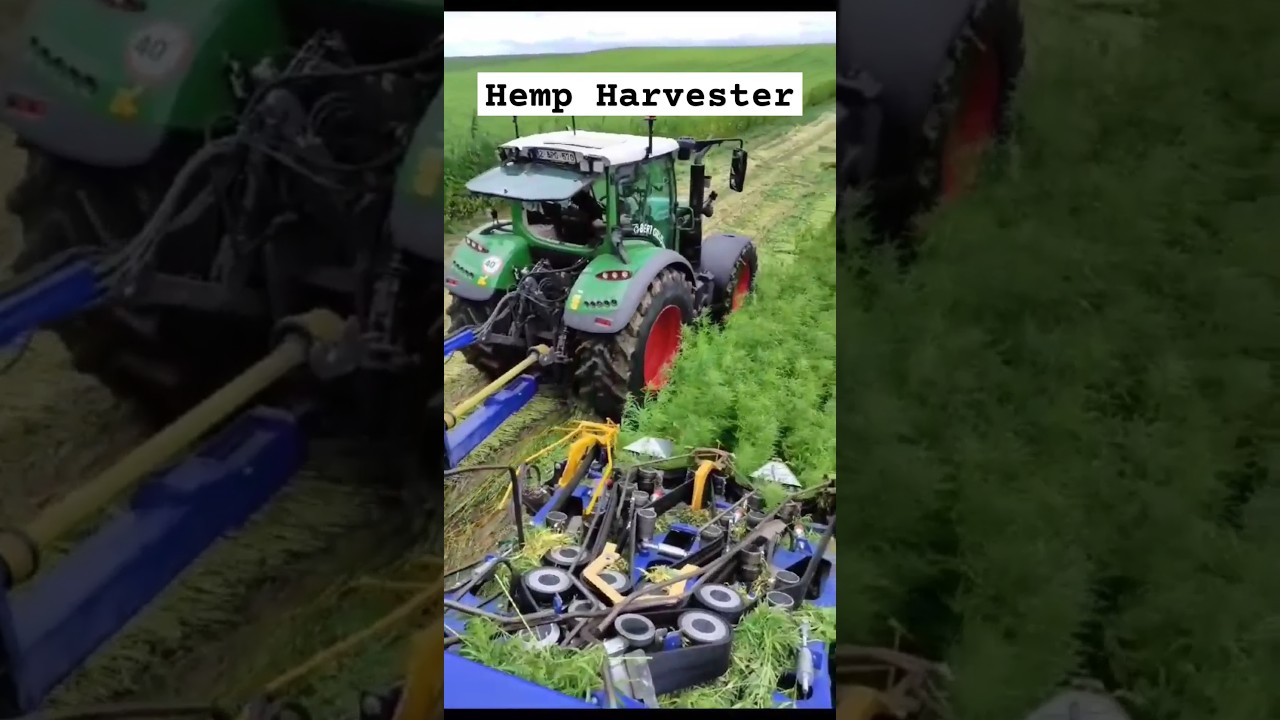 Hemp Harvester in Action || Made By CRETES-Creative Technical Solutions Belgium || #shorts