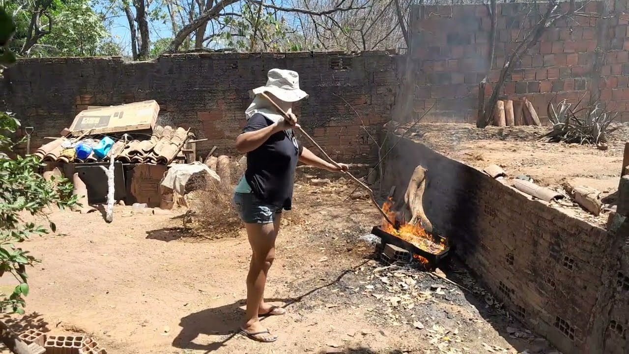 EU TORRANDO CASTANHA NO NORDESTE