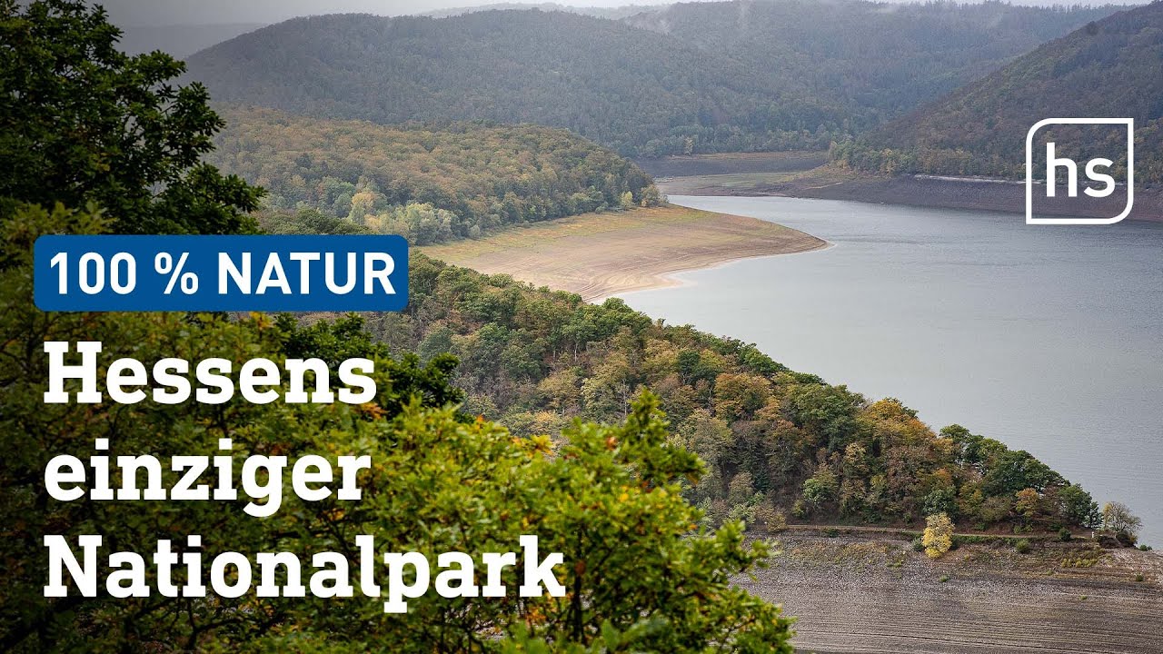 Nationalpark Kellerwald-Edersee feiert Geburtstag | hessenschau