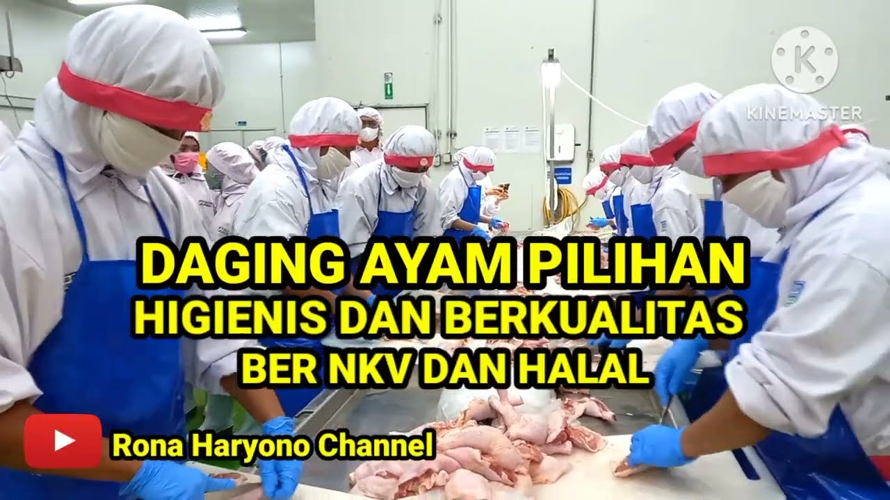 Daging Ayam Pilihan Higienis dan Berkualitas Ber-NKV dan Halal