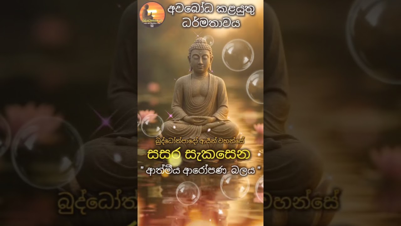 #සසර_සැකසෙන_බලය 