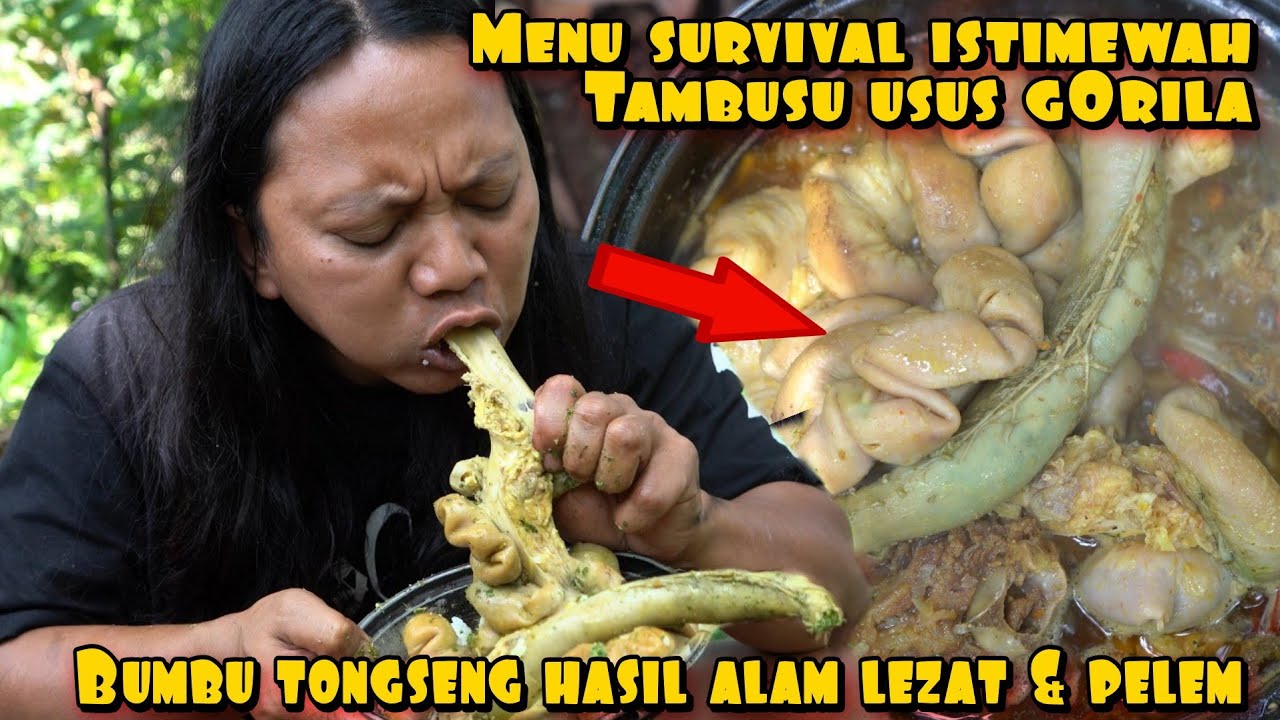 MUKBANG USUS G0R1L4 MENU SURVIVAL ISTIMEWA
