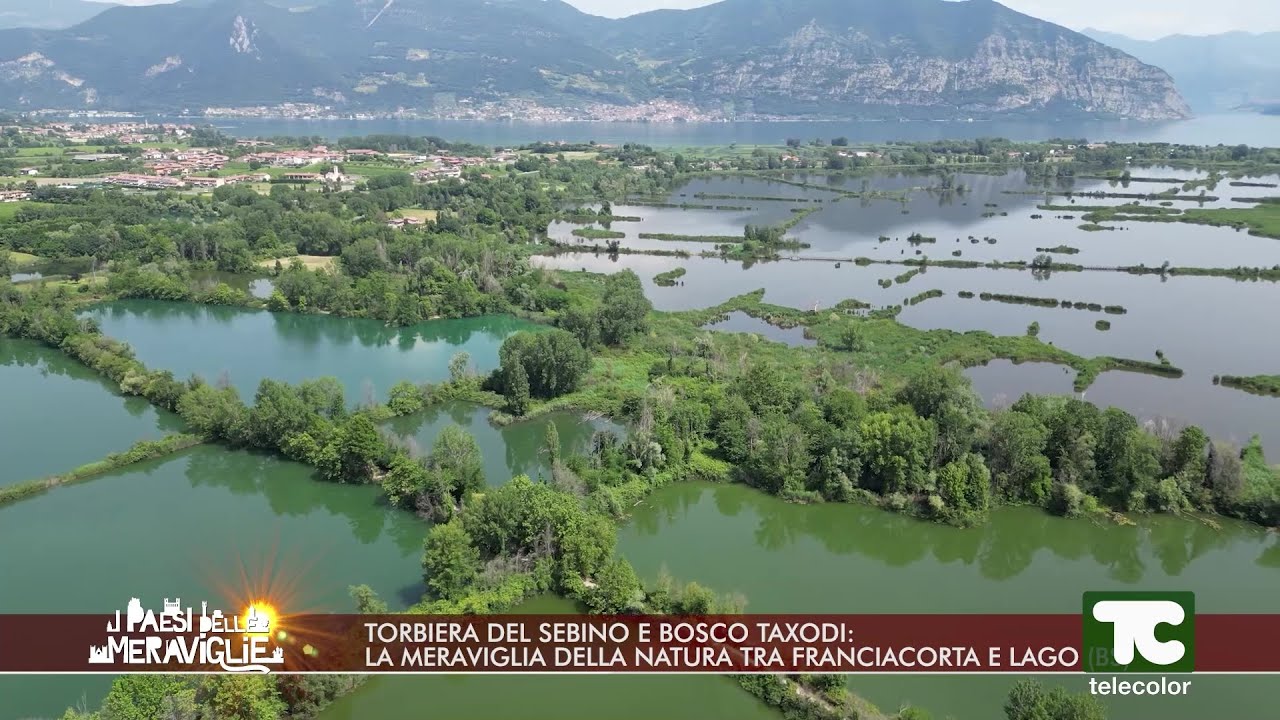 I paesi delle meraviglie: Torbiera del Sebino e Bosco Taxodi.
