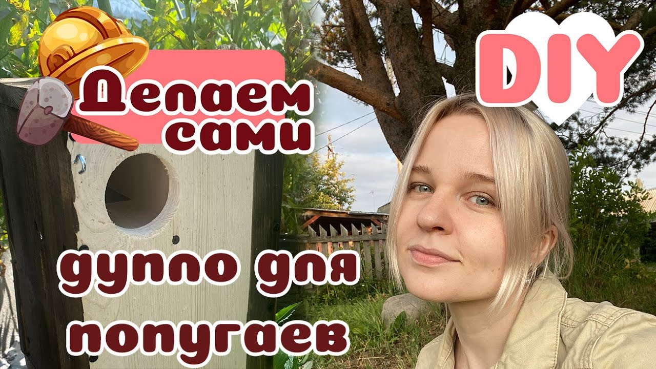 Гнездо для больших ПОПУГ своими руками. ВИДЕО DIY.