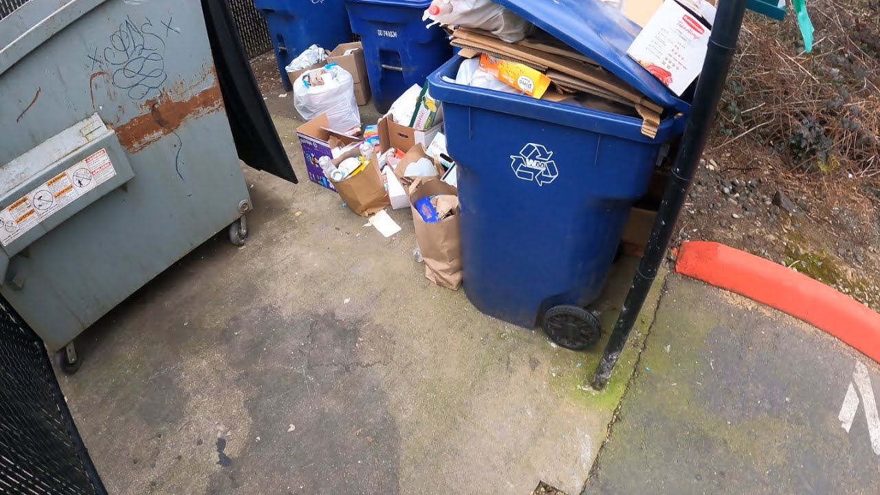 Commercial Rear Load Recycling Totes