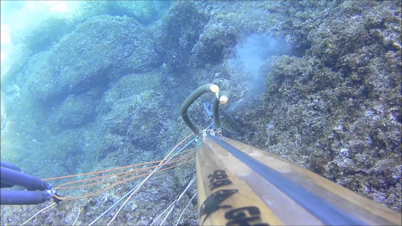 Spearfishing Island Krk - New rollergun