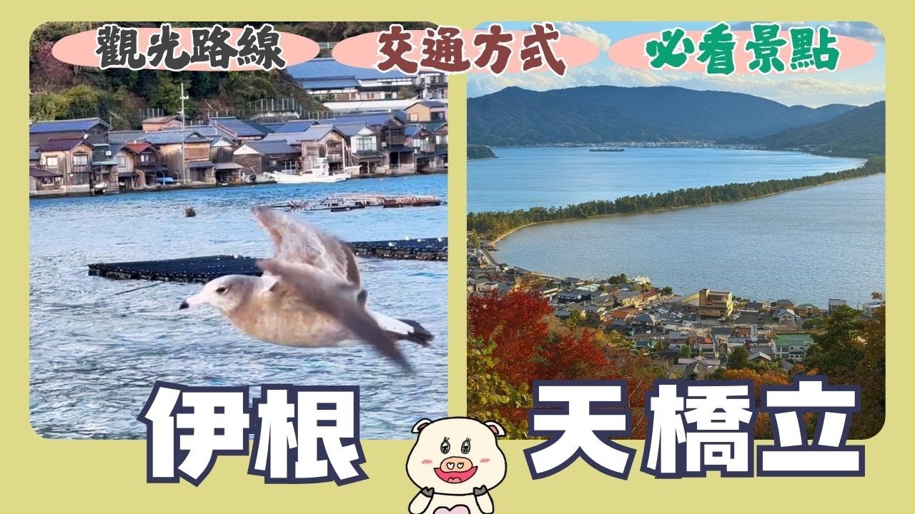 來一趟海京都之旅 | 從京都出發 ! 自己安排到伊根與天橋立的輕鬆小旅行 - 提供完整交通時間表  |伊根舟屋見學、觀光遊覽船、海景咖啡餐廳、天橋立傘松公園、昇龍觀 (Sea of Kyoto)