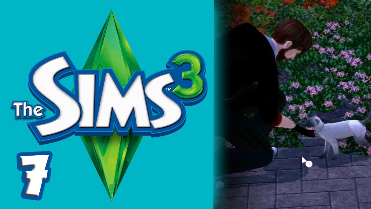 The Sims 3: Steal the Cat! - Ep. 7 (1080p)