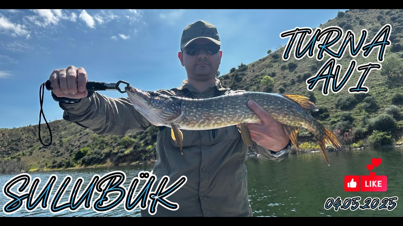 Babamla Turna Avı - Pike Fishing