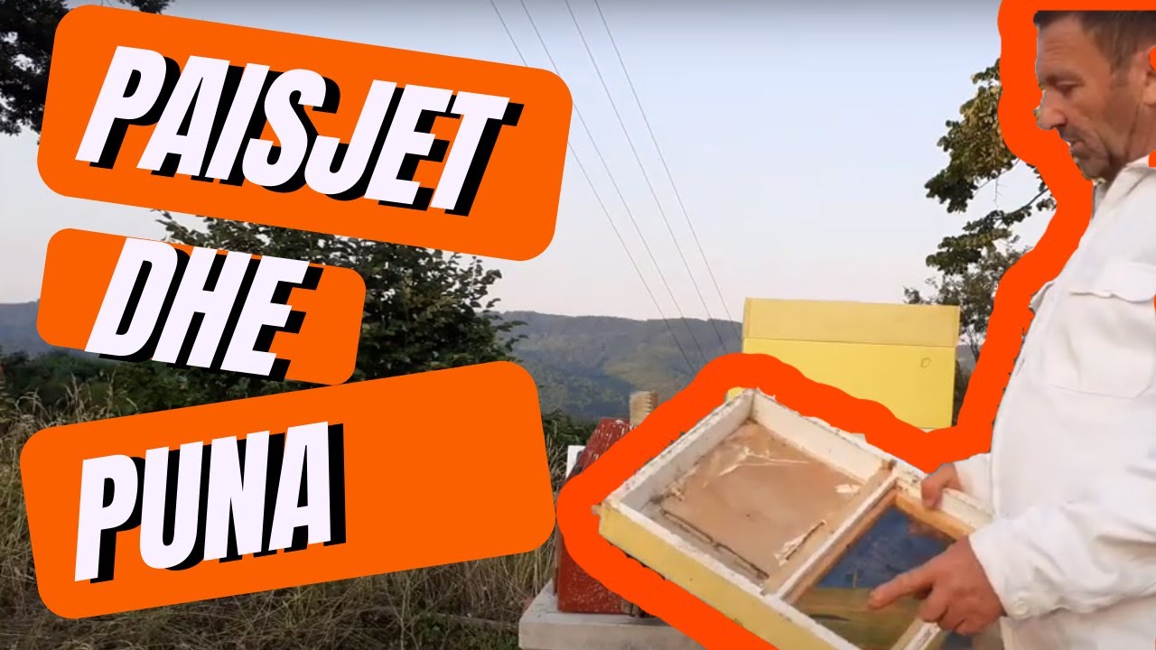 Paisjet dhe puna ne bletishte