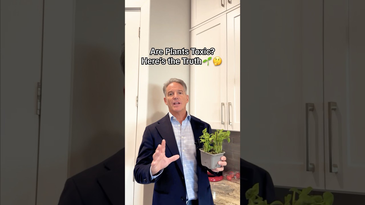 Are Plants Toxic? Here's the TRUTH! 🌱🤔
