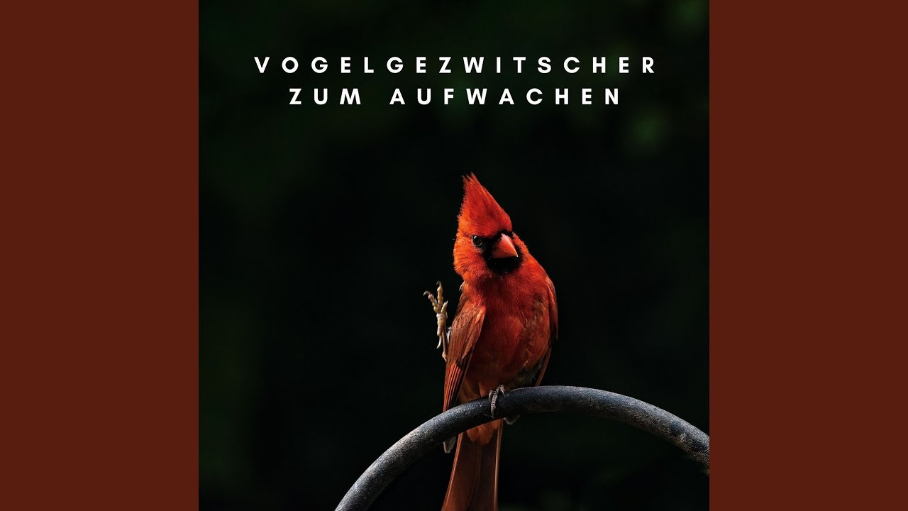 Entschleunigen