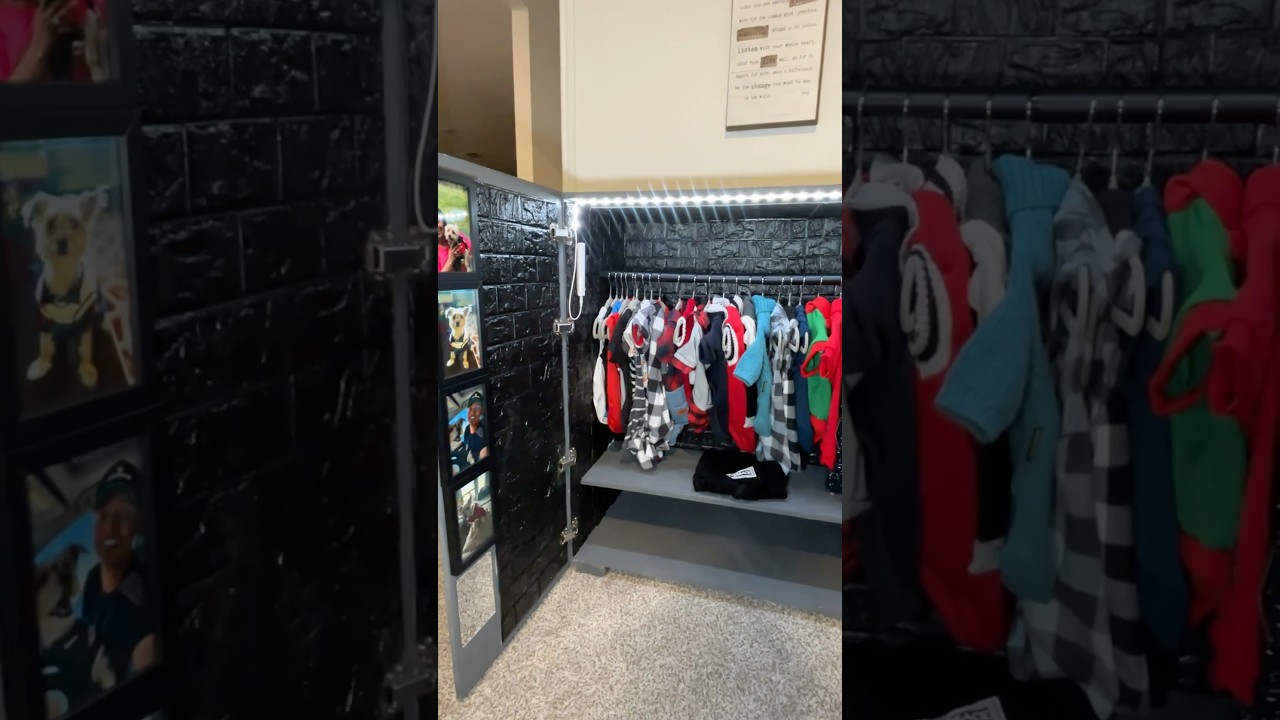 ✨👖 I built my dog his own closet 👖✨ #shorts #woodworking #diy #doglover #dogclothes #ryobi