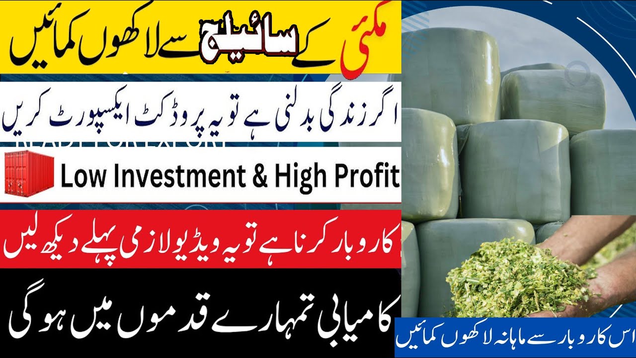 How to export silage from Pakistan || Huge Profitable business in Pakistan with small investment