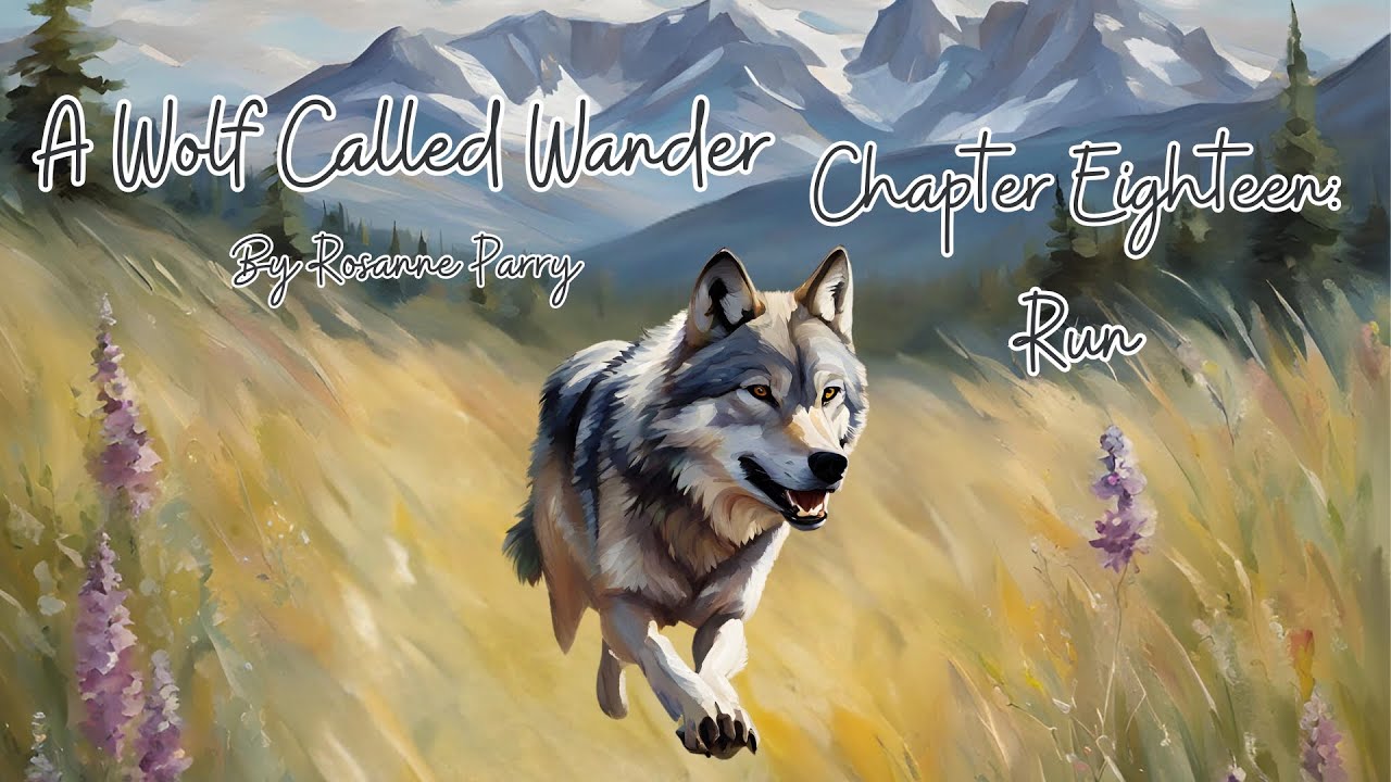 Chapter 18: Run  