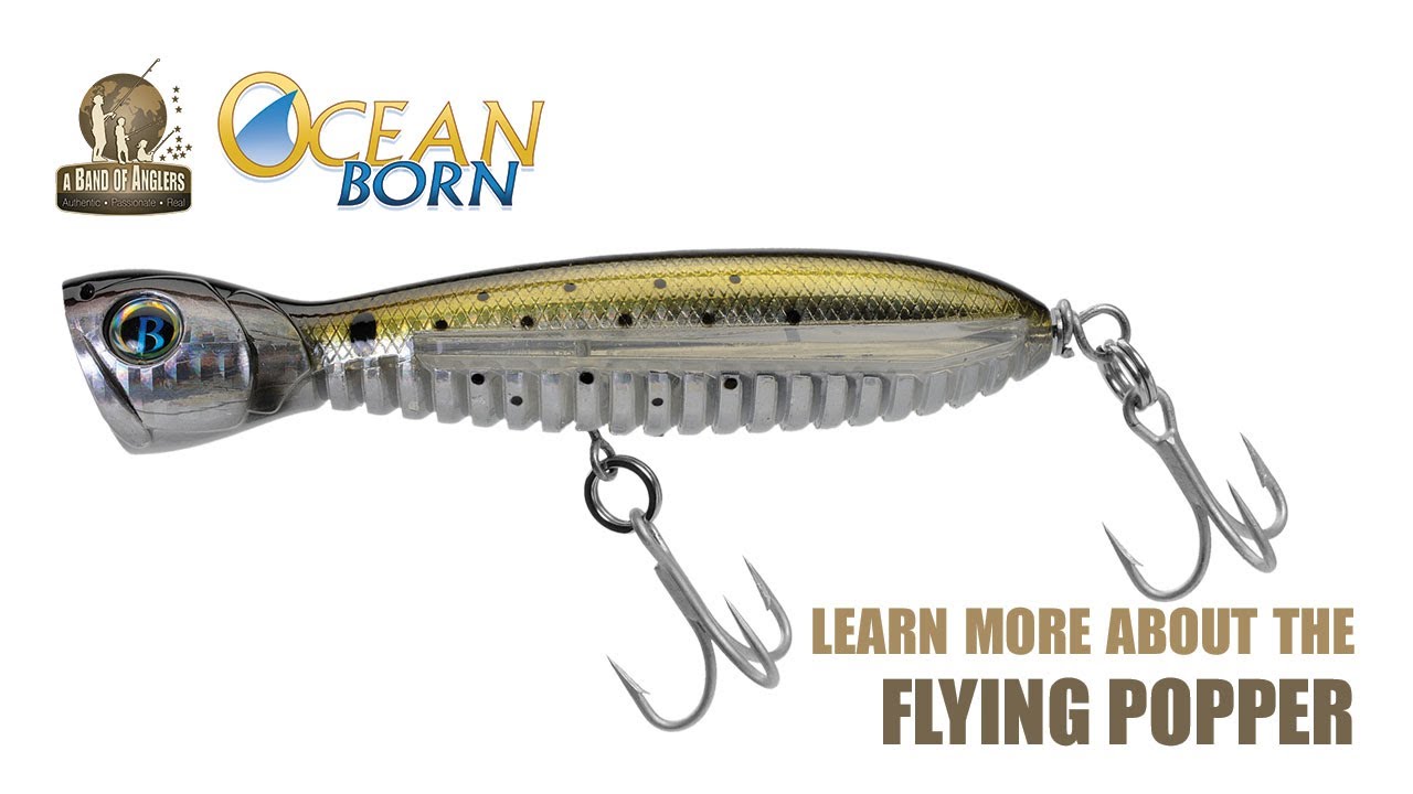 Learn More About The Ocean Born Flying Popper