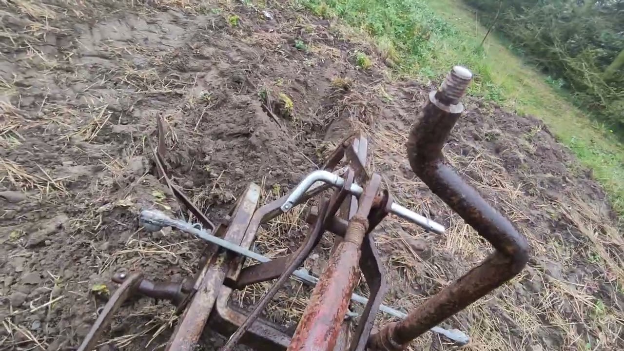 Ferguson tea20 pług 2 skiby