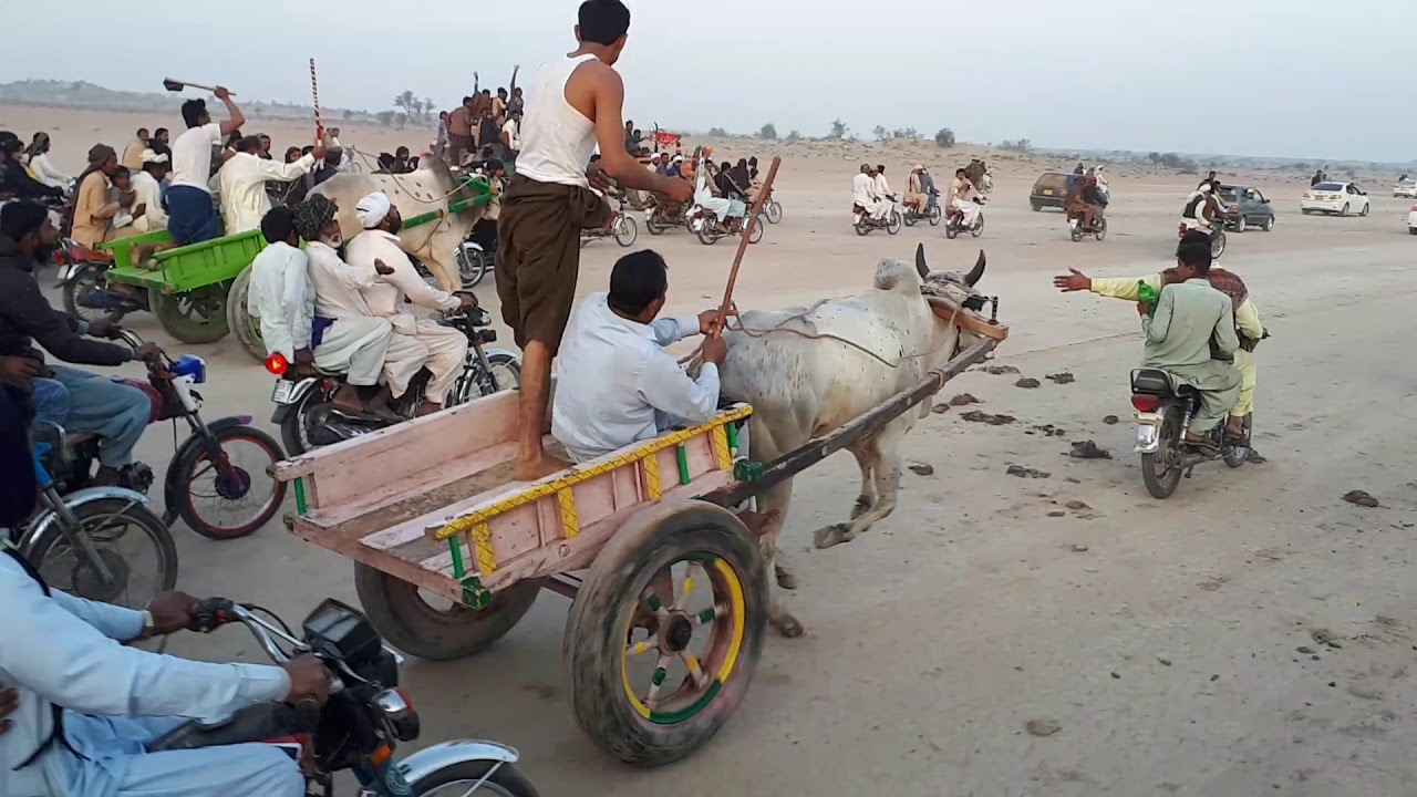 Chanan peer bale race