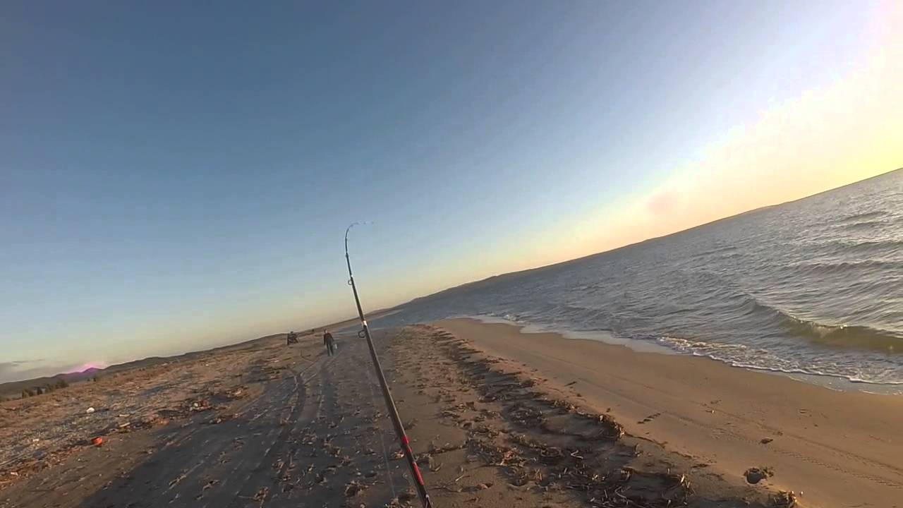 FISHING - Recupero di una orata su finale dello 0,12