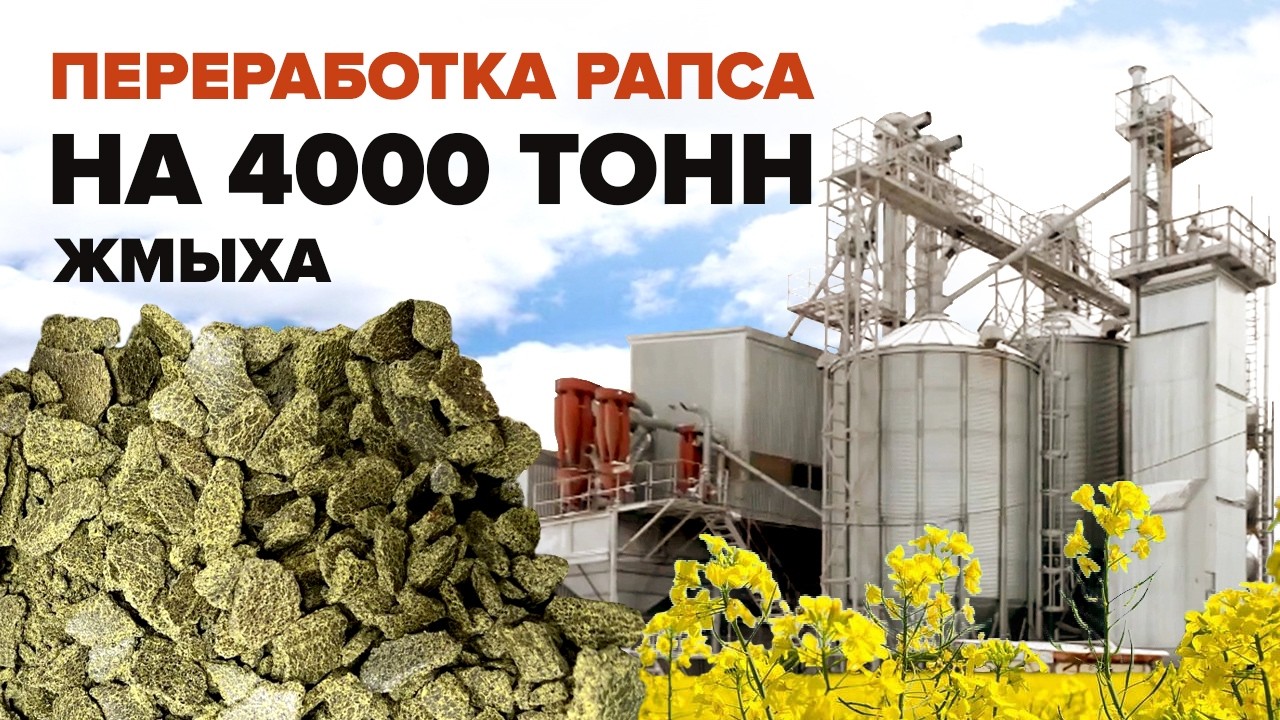 Запустили вторую очередь по переработке рапса. Компания Зерно Сибири.