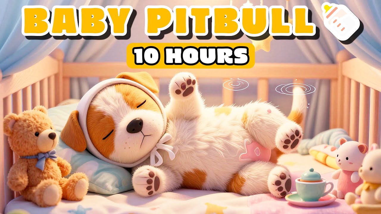 10 HOURS Nursery Lullaby for Pitbull 🍼 Baby Crib & Soft Stars