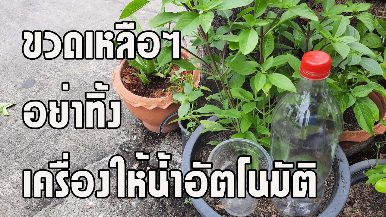 เครื่องให้น้ำต้นไม้อัตโนมัติ จากขวดเหลือใช้ Share