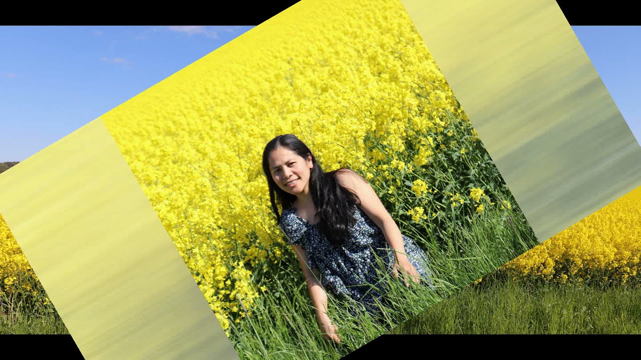 RAPESEEDS FARM TOUR #RAPESEED BLOSSOMS | Family Bonding