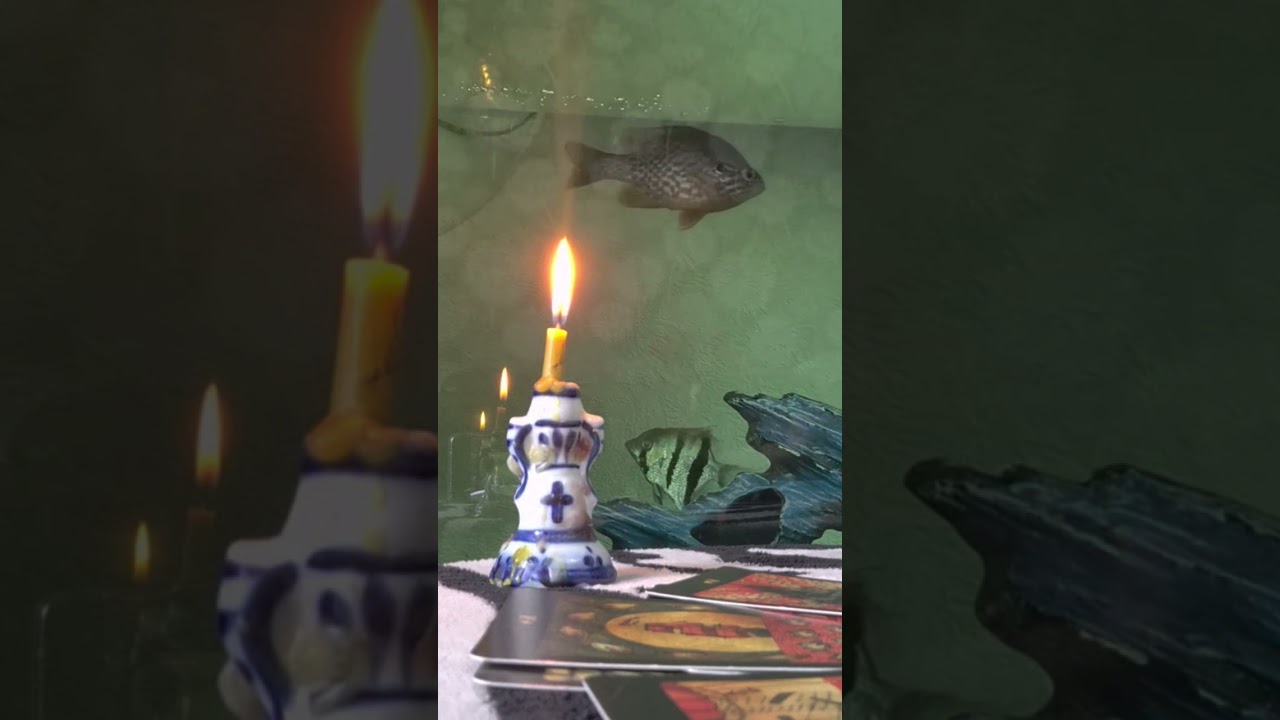 карта дня...