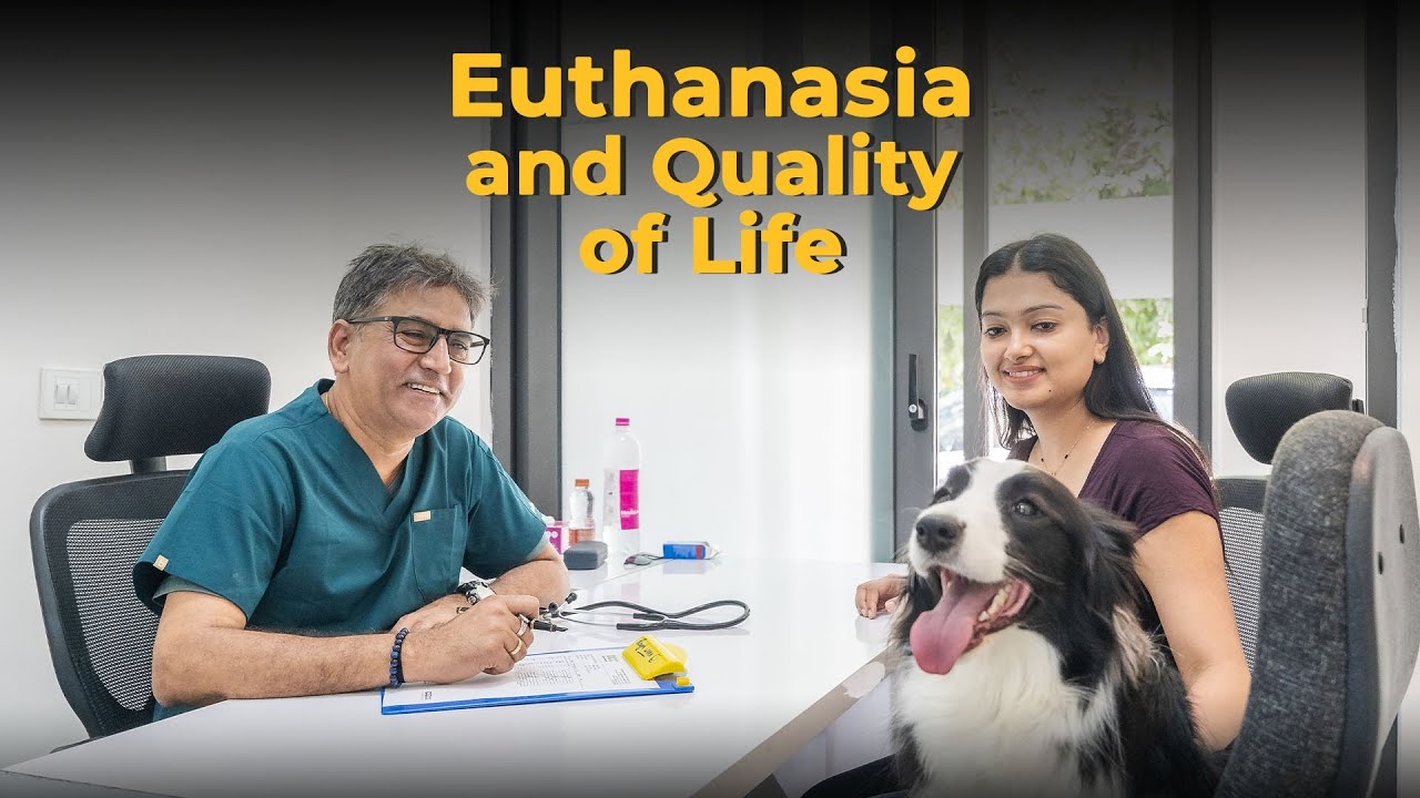 Dr. Vinod Sharma on Pet Euthanasia: Navigating the Emotional Journey