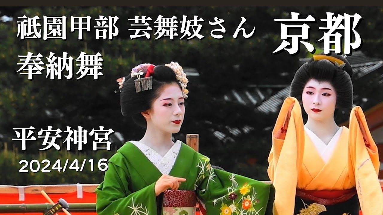 京都【祗園甲部】2024/4/16 舞妓芸妓さん奉納舞 平安神宮例祭 京都観光 /Maiko and Geiko in Kyoto Japan/gion#平安神宮 #京都 #舞妓 芸妓 京都旅行