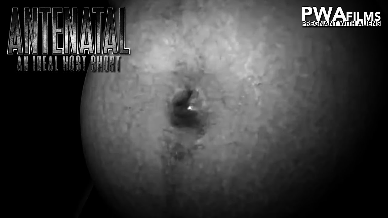 Antenatal: An Ideal Host Short