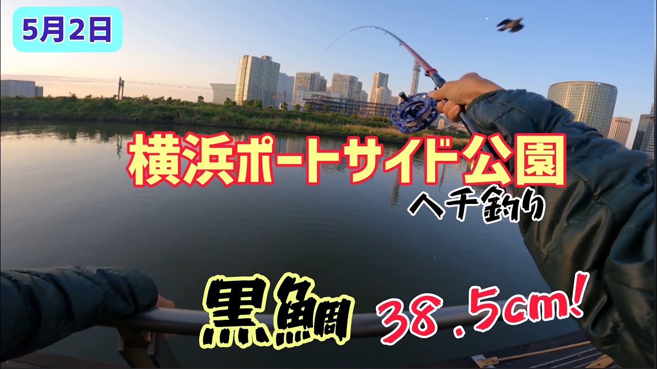 第20回／横浜ポートサイド公園ヘチ釣り、黒鯛38.5cm
