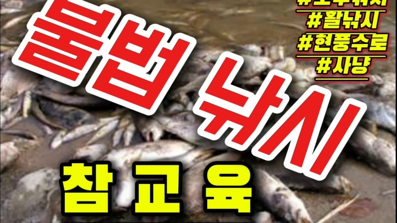이게 낚시에요??? 사냥이지??? 불법낚시 참교육!(현풍수로) #불법 #bassfishing #화살 #사냥