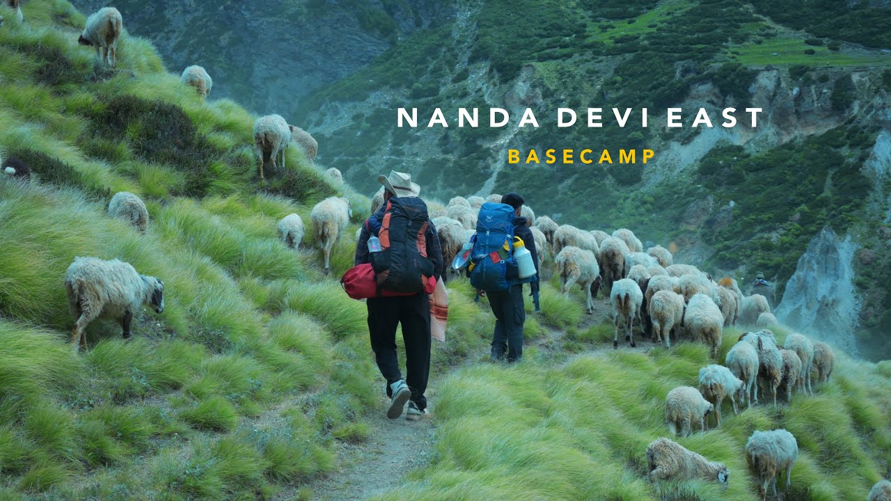 Lost in the Himalayas | Nanda Devi East (सुनंदा देवी) Base Camp: Chapter 2