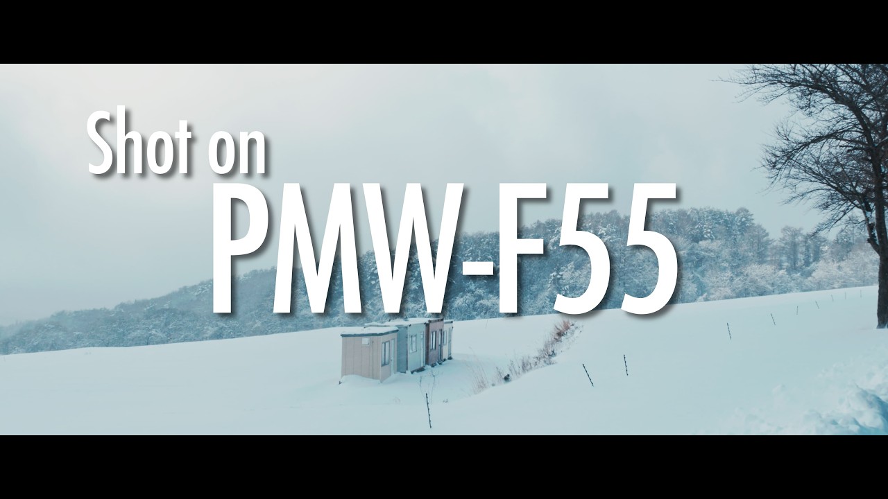 SONY CineAlta PMW-F55 Cinematic Footage 