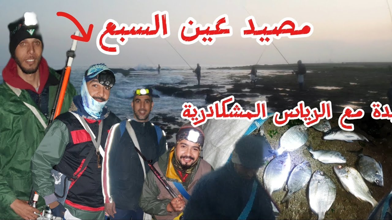 حياة البحار شاطئ  عين السبع( القادوس الجديد )  لقينة الشباك في الكوشطة الله يهدي بعض الرياس