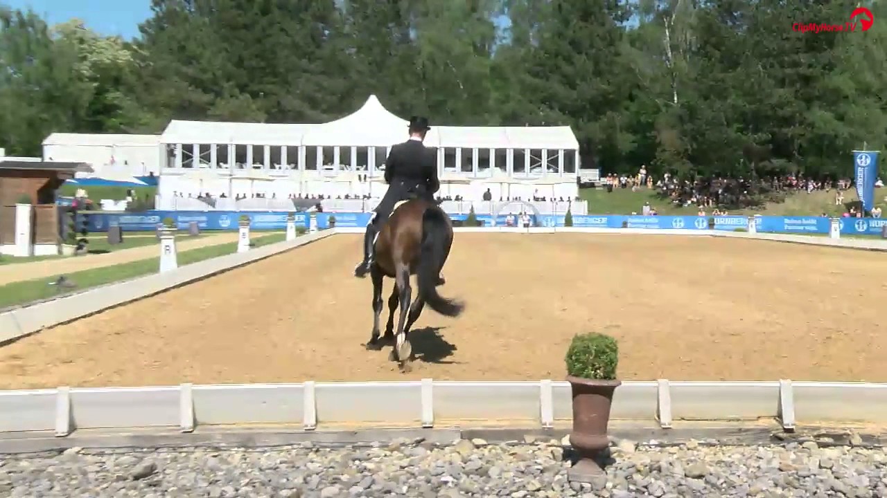Hubertus Schmidt und Imperio in der Grand Prix K&uuml;r auf der Pferd International M&uuml;nchen