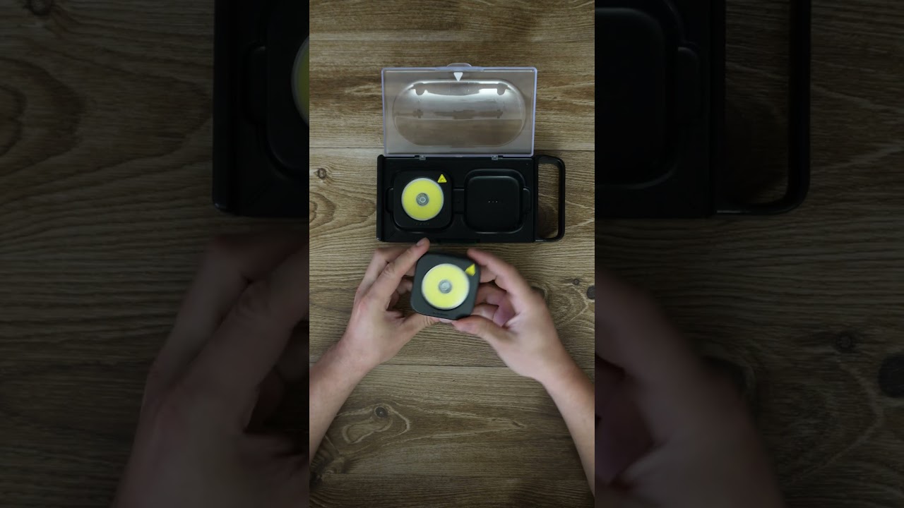 Parkside Dual LED Work Lights
