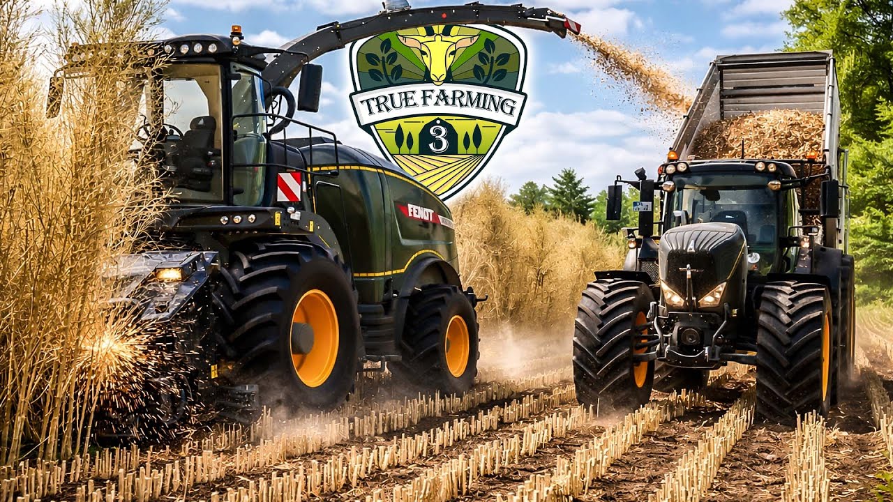 Manni holt Verstärkung! 👷🌲 Pappeln fallen im Akkord! | True Farming 3 #50 | LS25